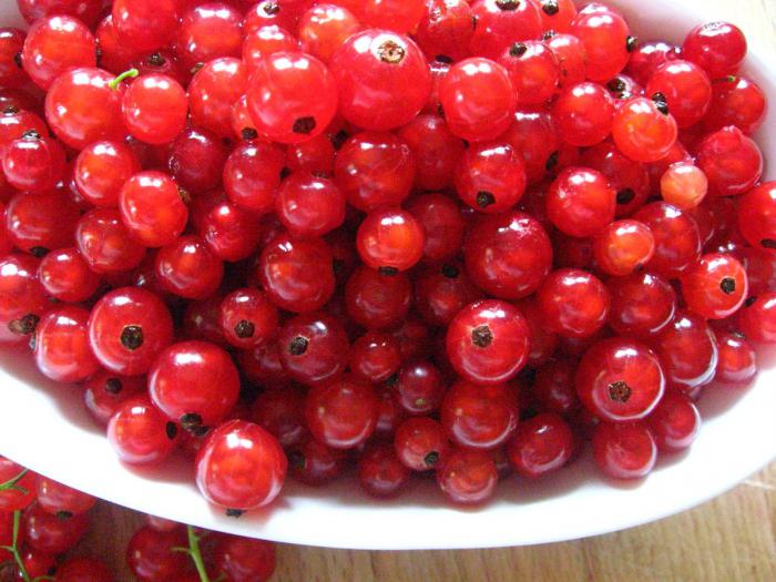 गर्भावस्था के दौरान currant पीना संभव है