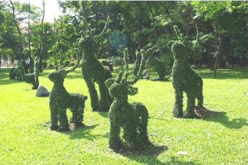 बगीचे के लिए आइडिया: आप अपने खुद के हाथों से एक स्टाइलिश परिदृश्य बना सकते हैं