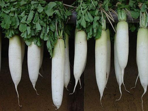 जब डाइकॉन साफ ​​हो जाएंगे? कैसे daikon स्टोर करने के लिए?