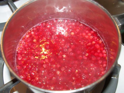 मांस के लिए redcurrant सॉस नुस्खा 