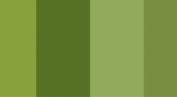 फ़िरोज़ा से जैतून: हरे रंग के रंगों के नाम