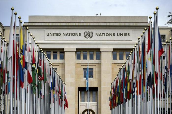 संयुक्त राष्ट्र सचिवालय: संरचना, संरचना, कार्य